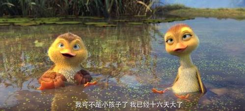 鸭子国产视频,鸭子的趣味生活大揭秘  第2张